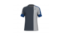 T-shirt PLAY TECH MEN Royal/Grey